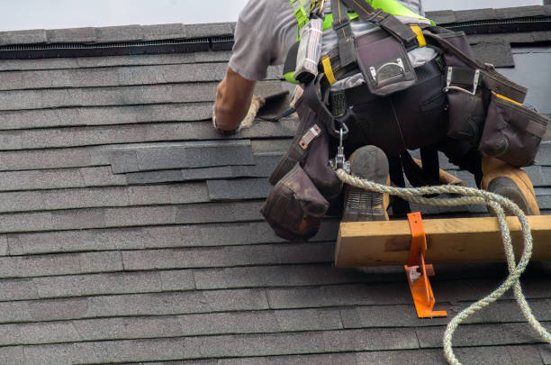 Best Roof Gutter Cleaning  in Roslyn Estates, NY